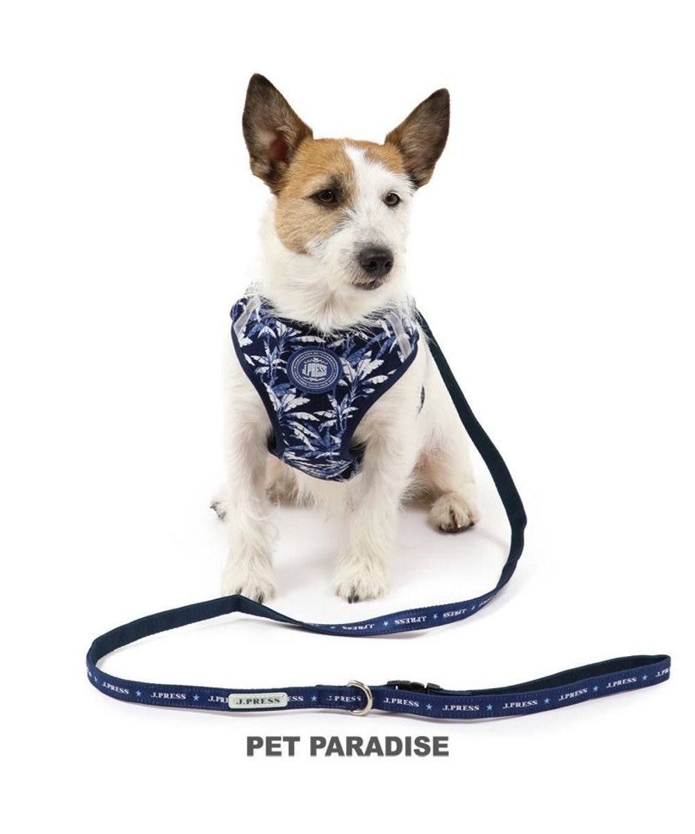 PET PARADISE 犬 ハーネス リード J.PRESS ハーネス＆リード 〔ＳＳ〕 リーブス 小型犬 紺（ネイビー・インディゴ）