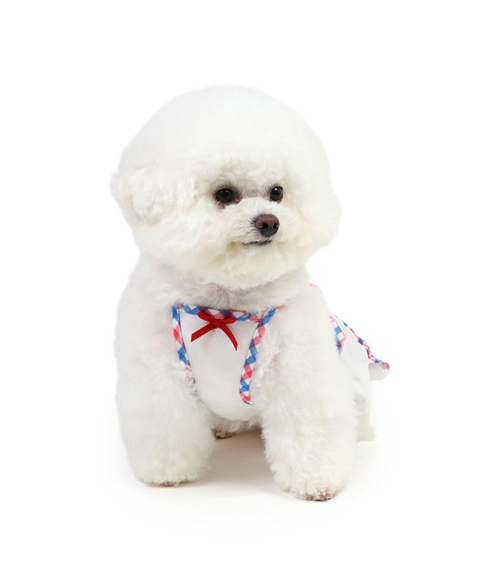 リサとガスパール エコメイド ワンピース 《チェック》 小型犬