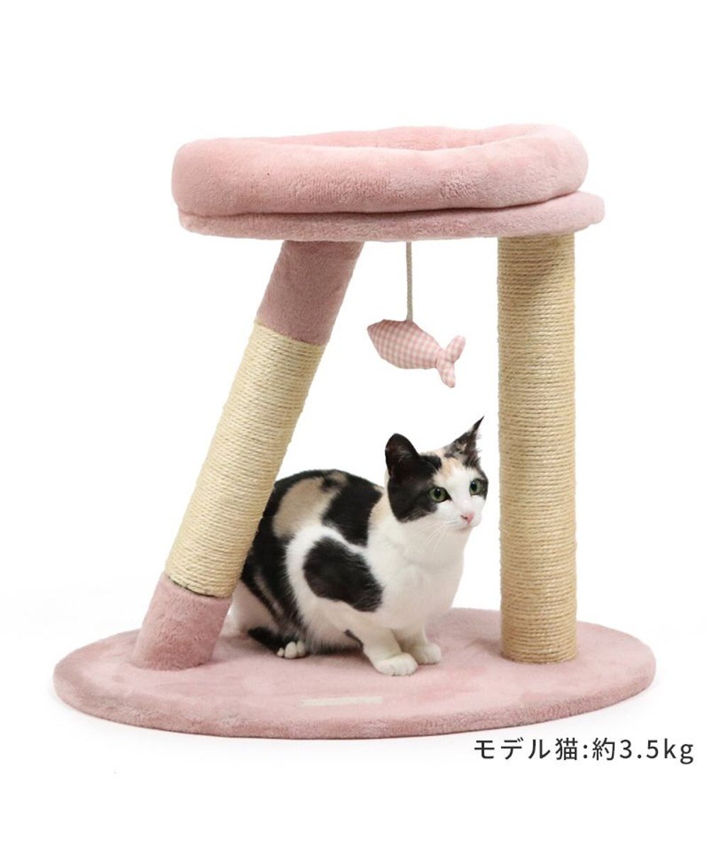 PET PARADISE 猫 キャットタワー 55cm スリム 