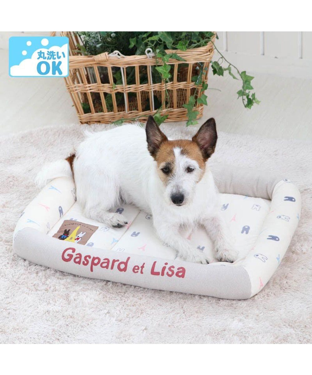 犬 カドラー リサとガスパール カドラーベッド 57 45cm ウォッシャブル 洗える 犬 猫 ペットベット ハウス 小型犬 介護夏クッション Pet Paradise 通販 雑貨とペット用品の通販サイト マザーガーデン ペットパラダイス 犬 カドラー リサとガスパール カドラーベッド 57 45cm ウォッシャブル 洗える 犬 猫 ペットベット ハウス 小型犬 介護夏クッション Pet Paradise 通販 雑貨とペット用品の通販サイト マザーガーデン ペットパラダイス