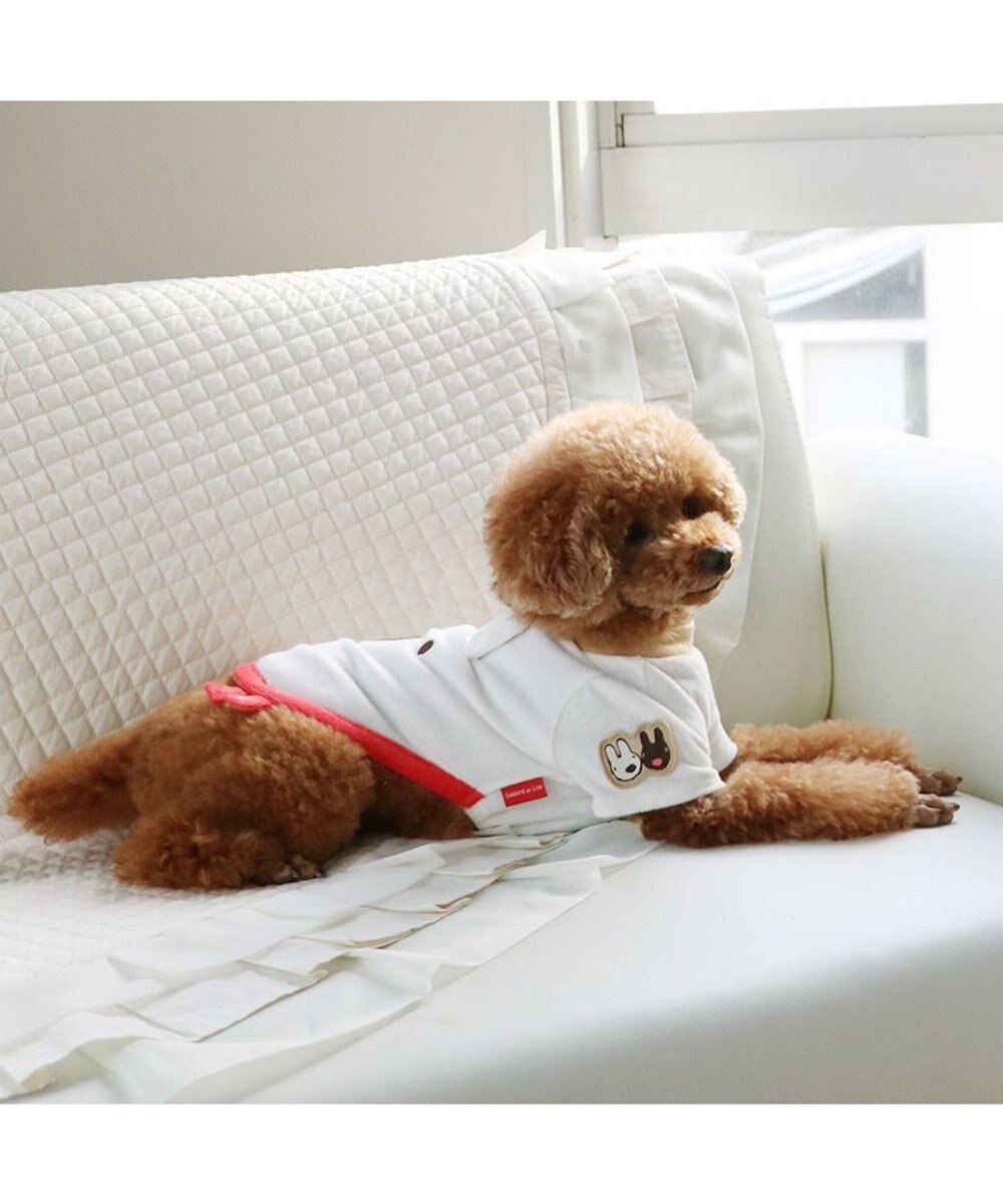 PET PARADISE リサとガスパール サーモキープ リサお顔Tシャツ  小型犬 