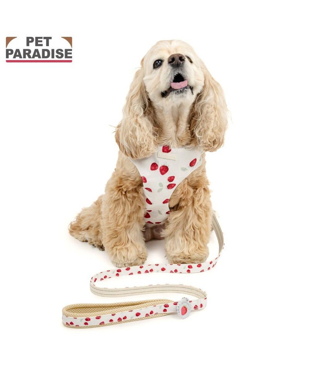 PET PARADISE ペットパラダイス スリム ハーネス＆リード 《苺総柄》 ＳＭ 中型犬 