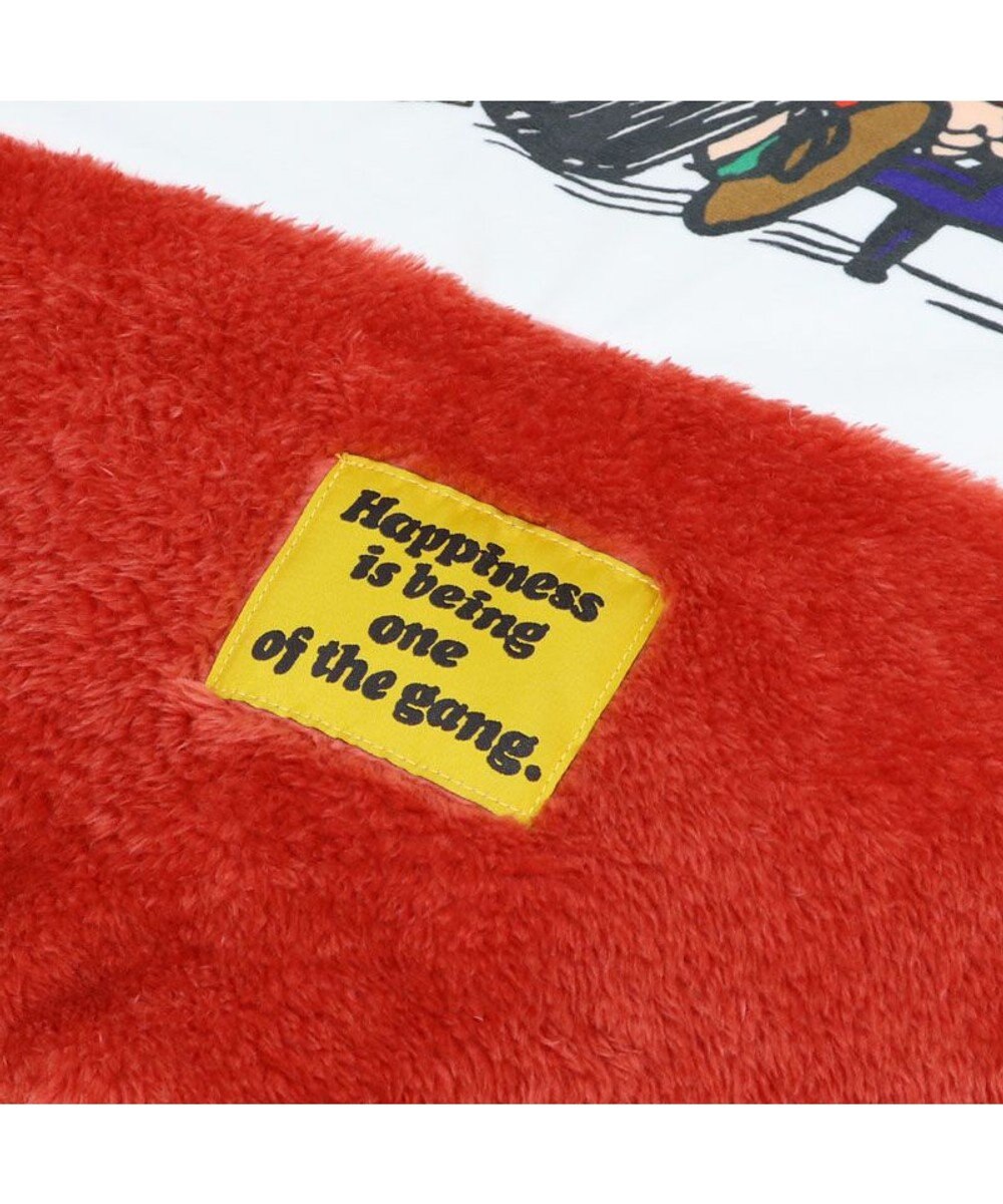 PET PARADISE スヌーピー 遠赤外線 一緒にぽかぽかマット 《赤屋根ハウス》 小型犬 