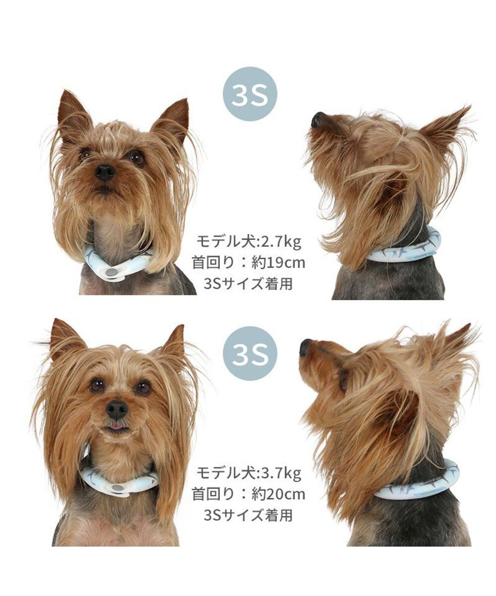 PET PARADISE ペットパラダイス ２８℃ クールリング ３Ｓ 《サメ柄》 