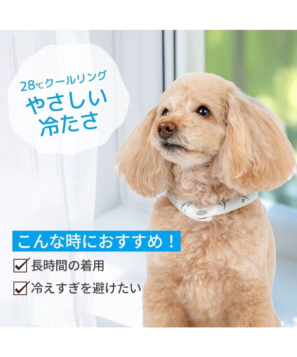 PET PARADISE ペットパラダイス ２８℃ クールリング ３Ｓ 《サメ柄》 