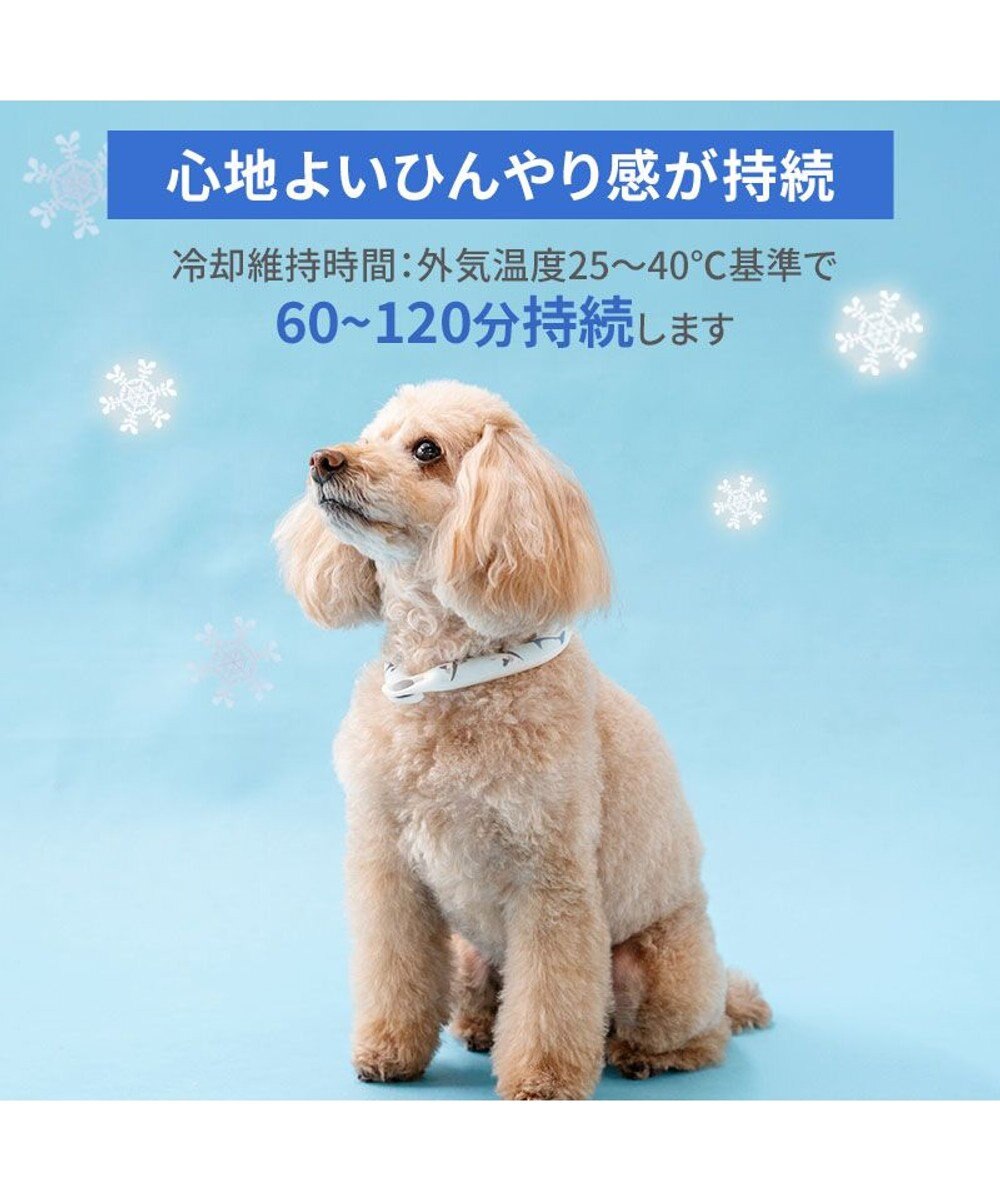 PET PARADISE ペットパラダイス ２８℃ クールリング ３Ｓ 《サメ柄》 