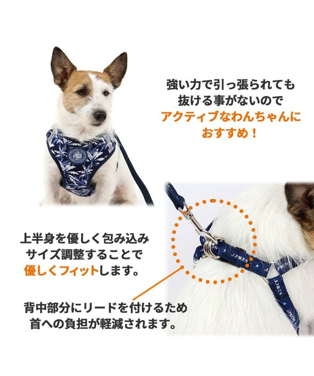 犬 ハーネス リード J.PRESS ハーネス＆リード 〔ＳＳ〕 リーブス 小型犬 / PET PARADISE |  【通販】雑貨とペット用品の通販サイト | マザーガーデン＆ペットパラダイス