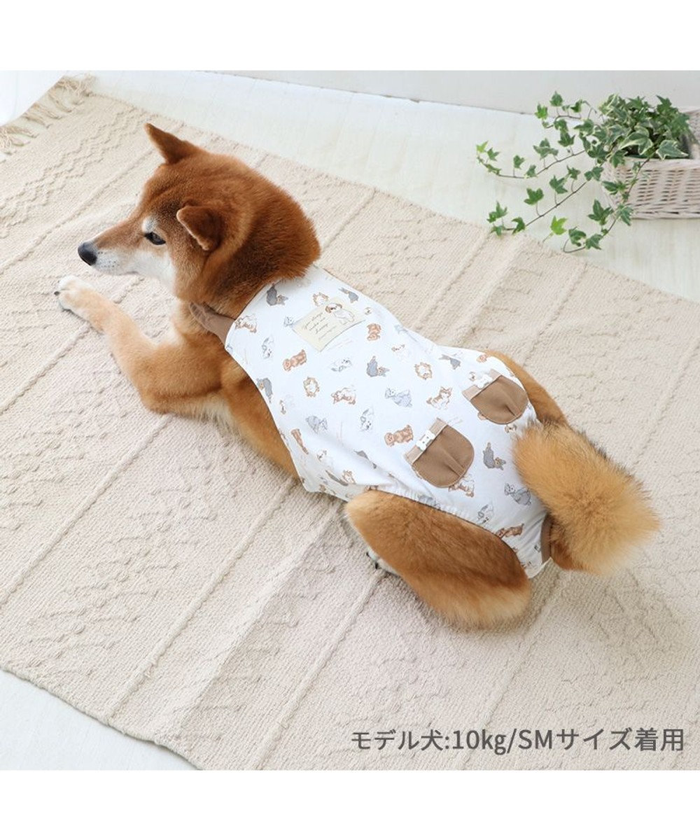 PET PARADISE ペットパラダイス makokoro マナーオール 《わんちゃん柄》 中型犬 