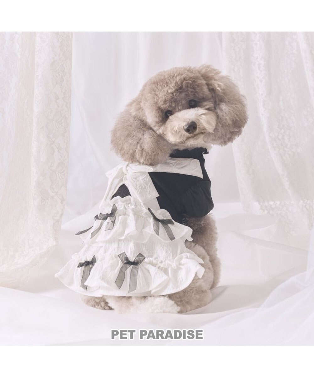 PET PARADISE cherircouture メニーリボンワンピース 小型犬 ブラック