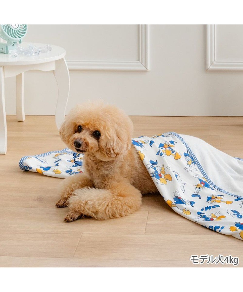 PET PARADISE ディズニー ドナルドダック クール ブランケット 