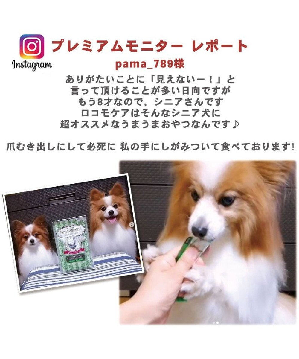 犬 猫 おやつ 国産 リアルフードスティック ロコモケア 10g 8本 シニア 柔らかい関節ケア 鶏肉 低カロリー ペースト なめる トッピング 非常食 保存食 グレインフリー 穀物不使用 老猫 老犬 犬オヤツ 犬用 ペット Pet Paradise 通販 雑貨とペット用品の通販サイト