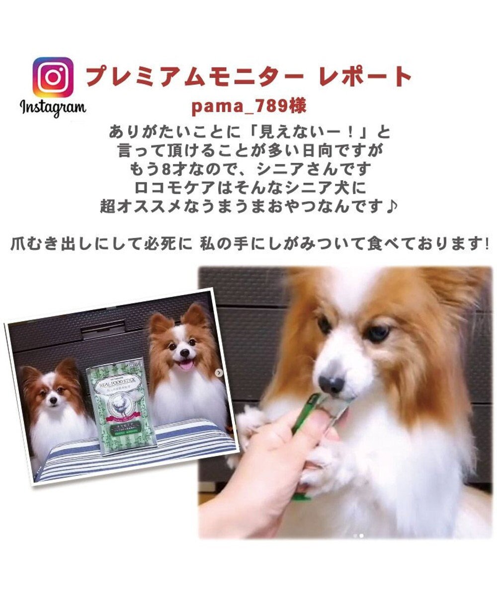 犬 猫 おやつ 国産 リアルフードスティック ロコモケア 10g 8本 シニア 柔らかい関節ケア 鶏肉 低カロリー ペースト なめる トッピング 非常食 保存食 グレインフリー 穀物不使用 老猫 老犬 犬オヤツ 犬用 ペット Pet Paradise 通販 雑貨とペット用品の通販サイト 犬 猫 おやつ 国産 リアルフードスティック ロコモケア 10g 8本 シニア 柔らかい関節ケア 鶏肉 低カロリー ペースト なめる トッピング 非常食 保存食 グレインフリー 穀物不使用 老猫 老犬 犬オヤツ 犬用 ペット Pet Paradise 通販 雑貨とペット用品の通販サイト