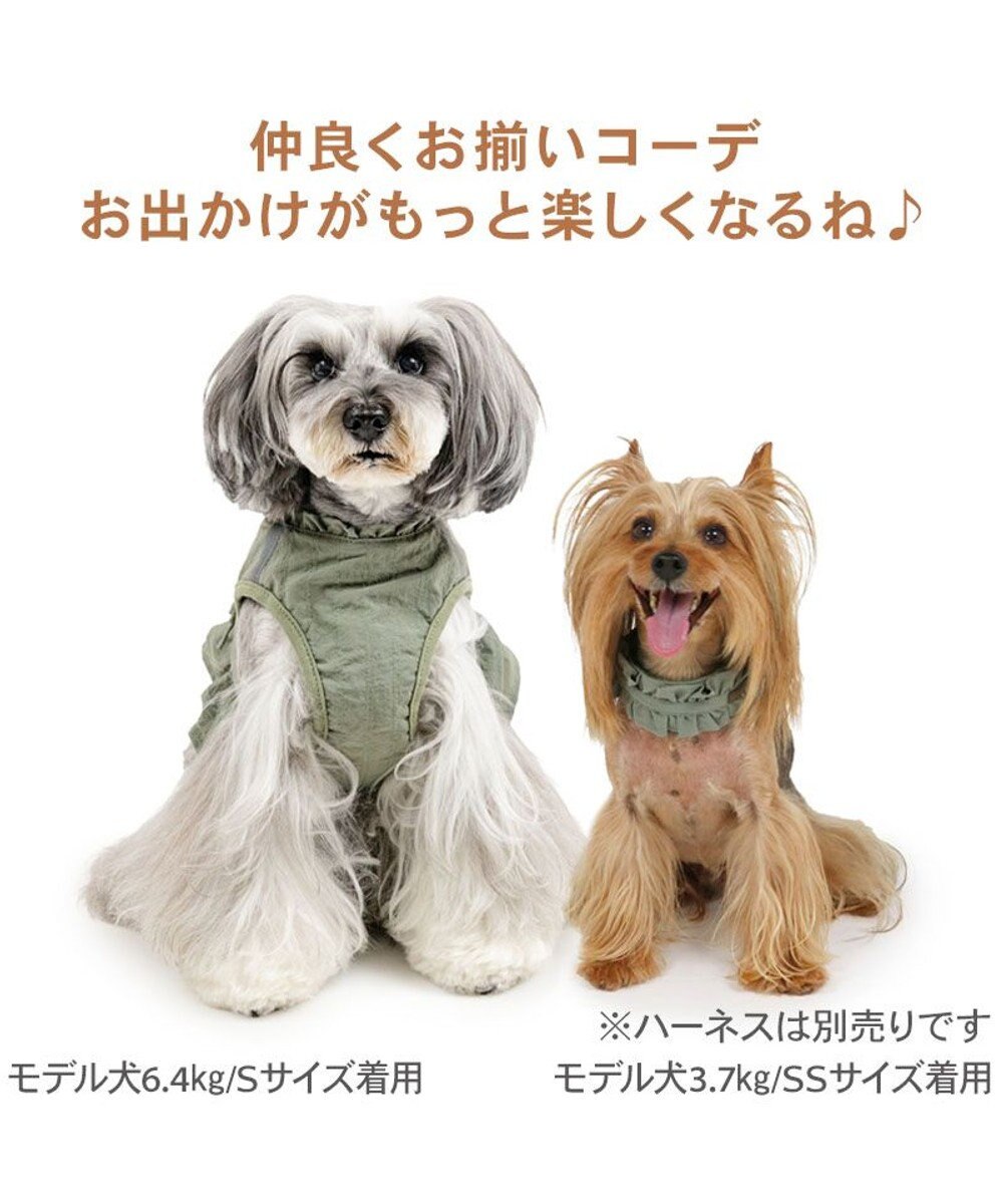 PET PARADISE ペットパラダイス ペタルオリーブ首輪 ３Ｓ 