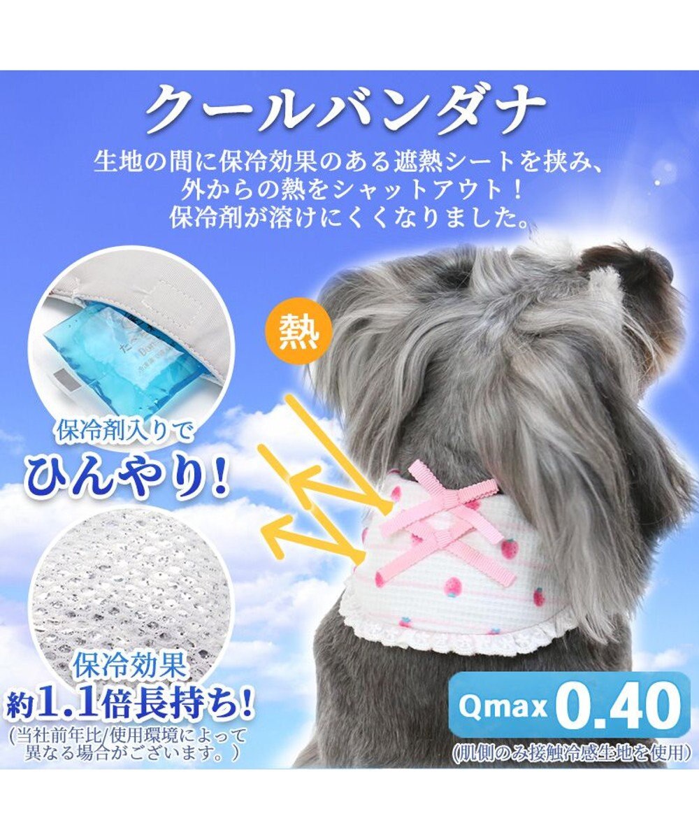 Tghyezqa Ycm M Tghyezqa Ycm M