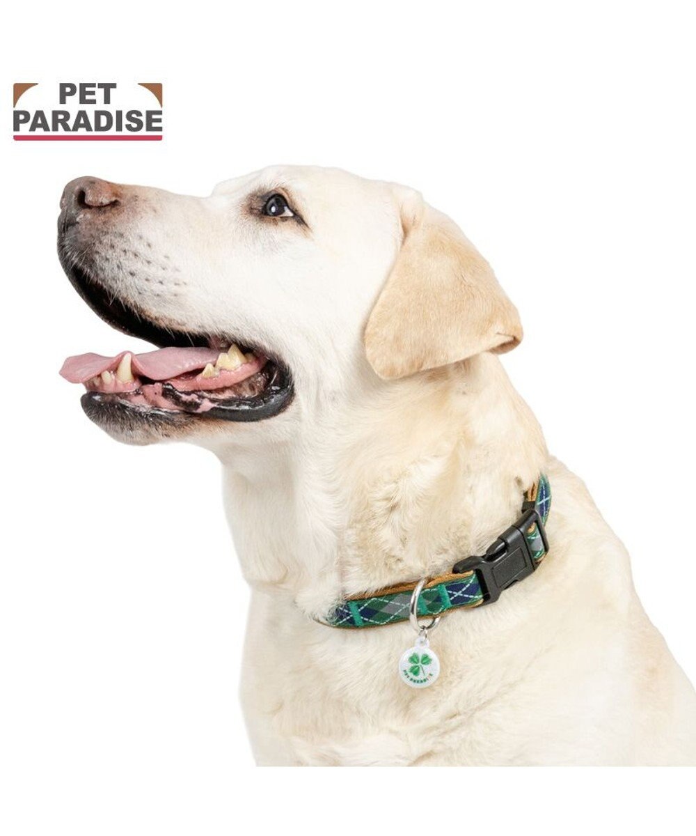 PET PARADISE ペットパラダイス チェック柄 首輪 Ｌ 大型犬 