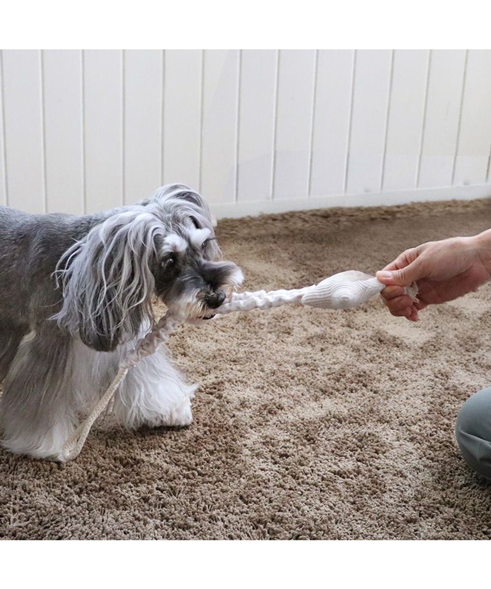 PET PARADISE ペットパラダイス 引っ張り トイ 《雲/星》 