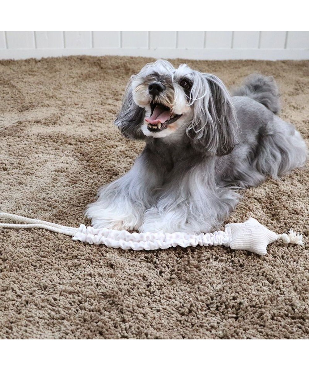 PET PARADISE ペットパラダイス 引っ張り トイ 《雲/星》 