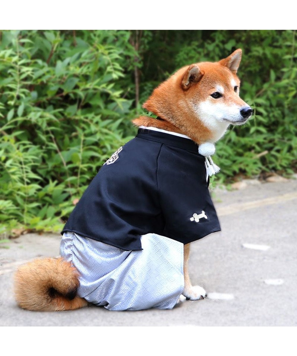ペットパラダイス 紋付袴 《シルバー》 中型犬 大型犬 / PET