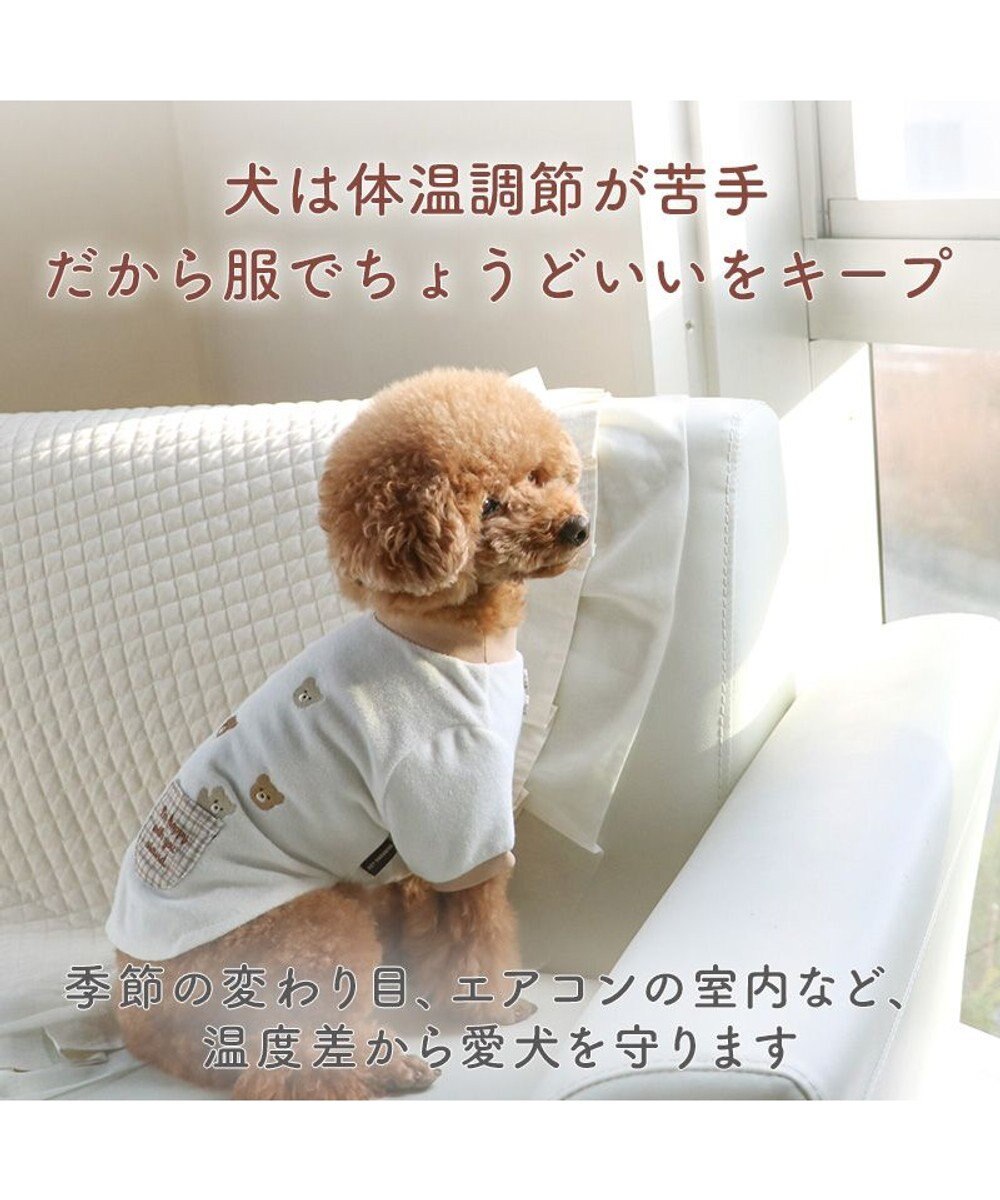 PET PARADISE ディズニー チップとデール サーモキープ お顔Tシャツ 小型犬 