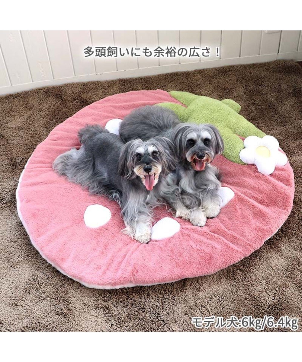 PET PARADISE  ネット店限定 くすみ苺 マット (105×107cm用)