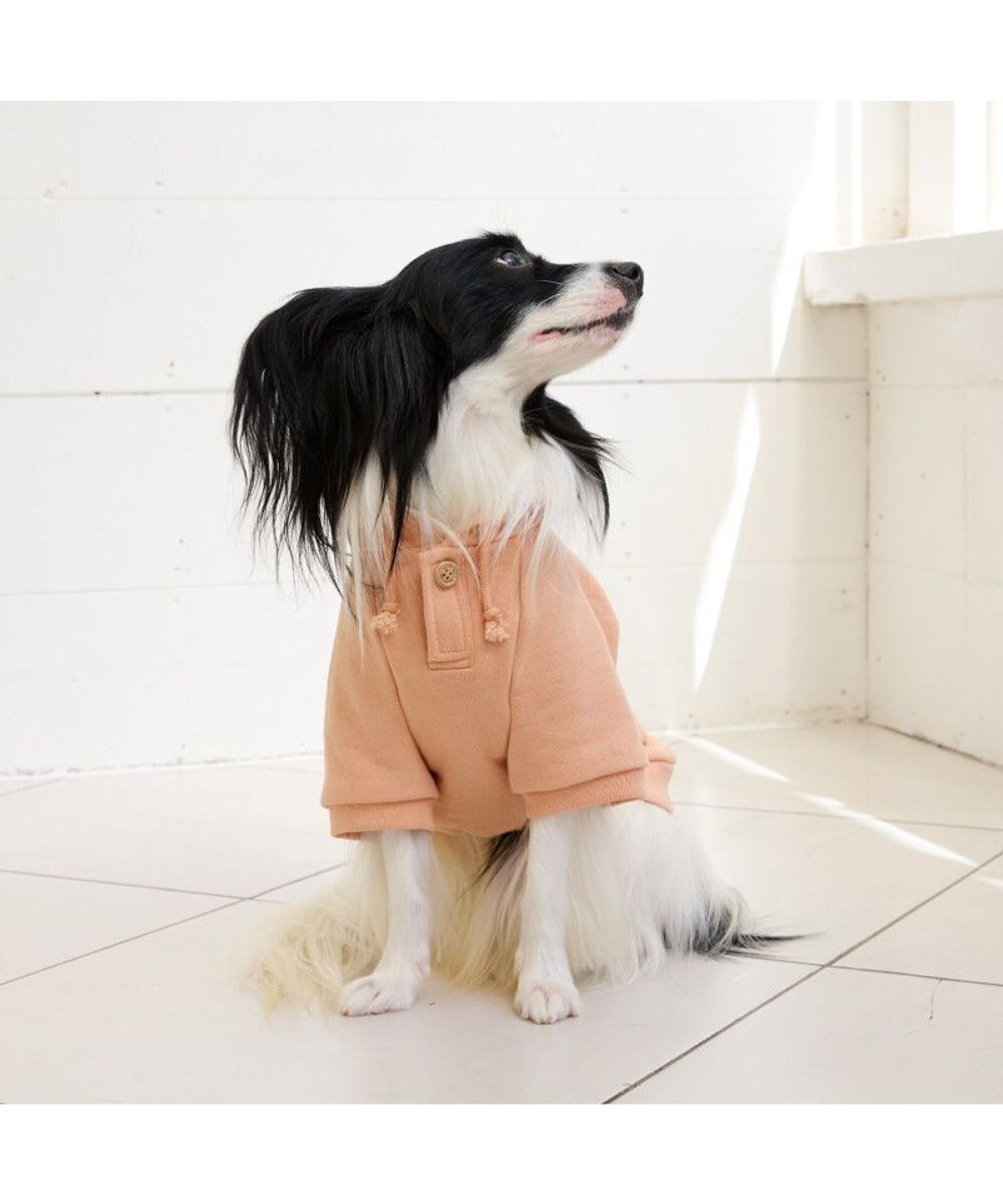 PET PARADISE ペットパラダイス Mai Kuraki ベニート パーカー 《ピンク》 小型犬