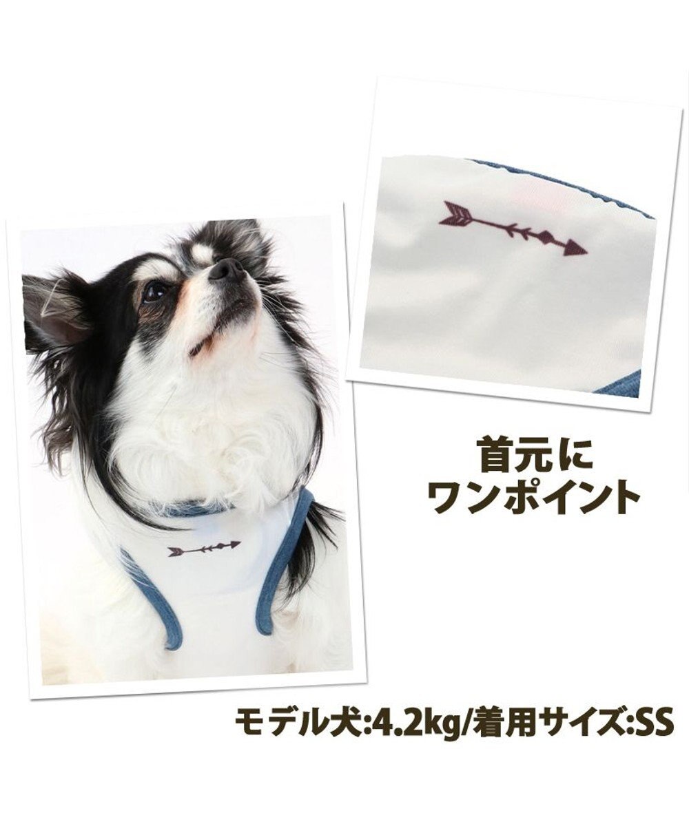 犬服 犬 服 ペットパラダイス クール 接触冷感 キャンプ タンクトップ 小型犬 超小型犬 小型犬 ひんやり 夏 涼感 冷却 吸水速乾 タッチワンクール Pet Paradise 通販 雑貨とペット用品の通販サイト マザーガーデン ペットパラダイス