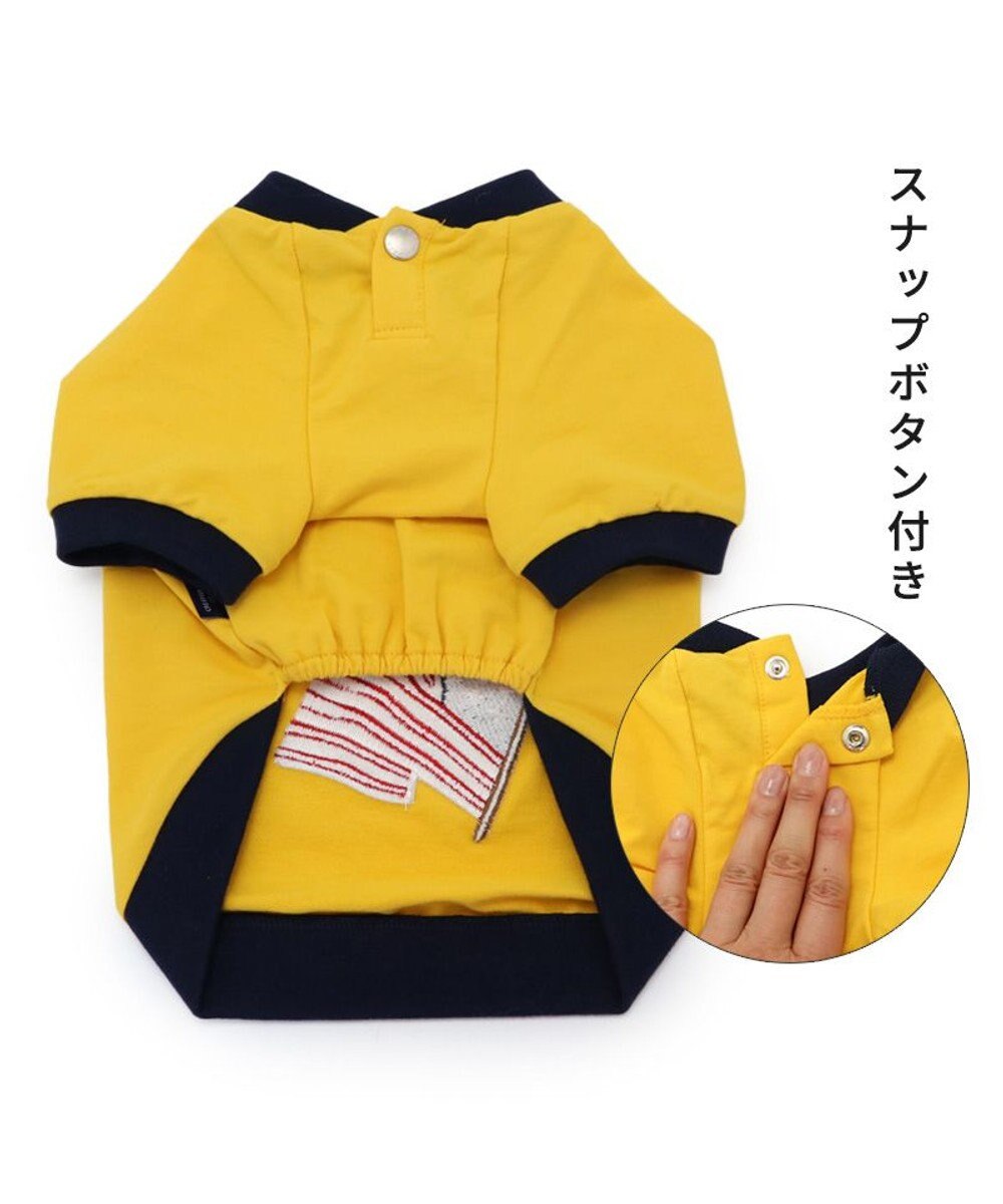 PET PARADISE 犬の服 犬 冬服 トレーナー J.PRESS【小型犬】 星条旗 