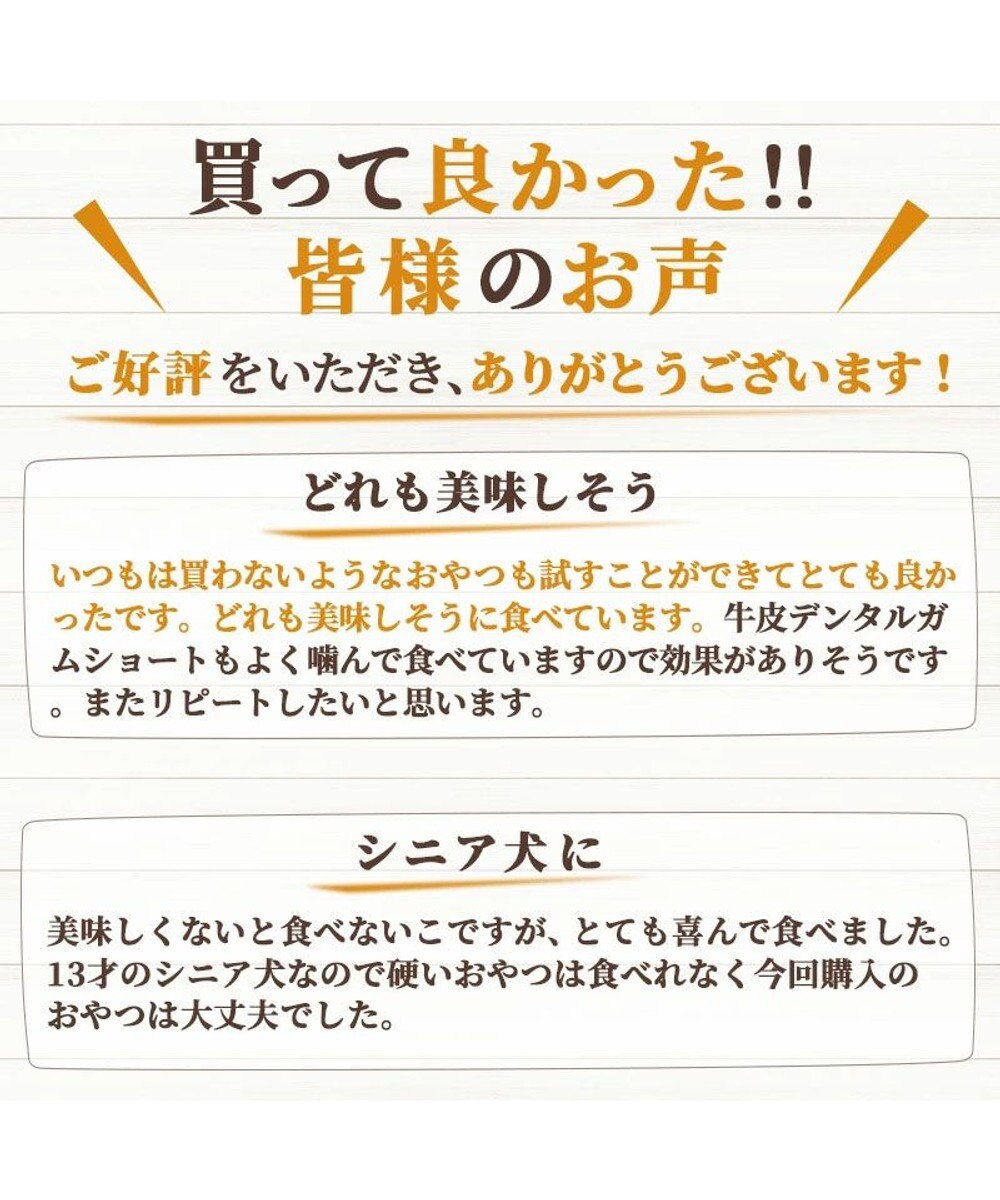 PET PARADISE ペットパラダイス 犬 おやつ デリスタイル8種類 ヘルシー系セット 