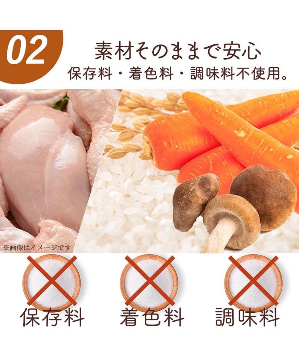 PET PARADISE 愛犬にやさしい スープごはん 鶏 