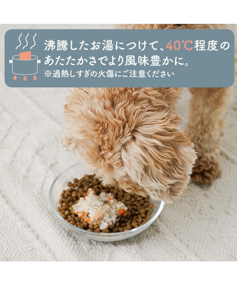 PET PARADISE 愛犬にやさしい スープごはん 鶏 