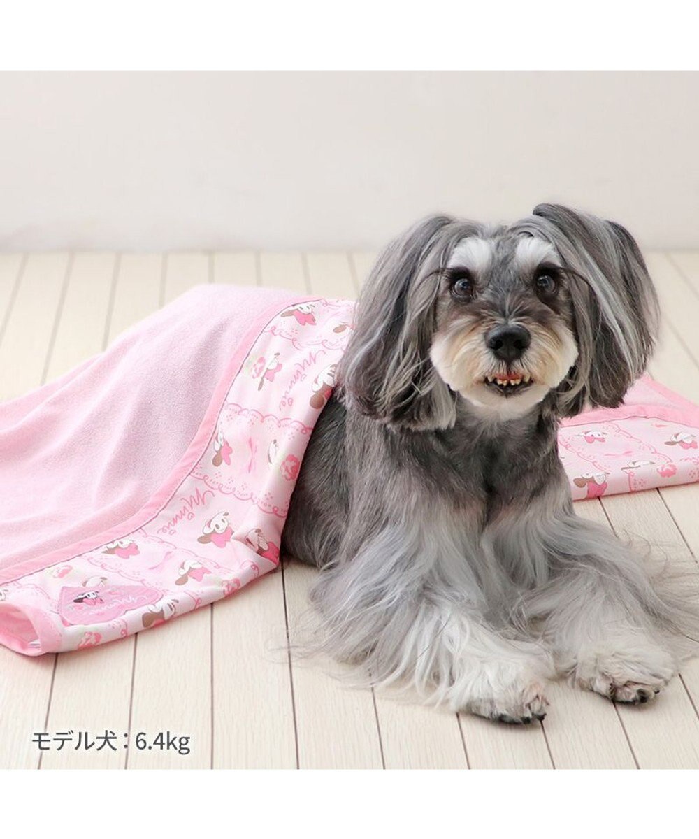 PET PARADISE ディズニー ミニーマウス クールケット 《レース柄》 小型犬 