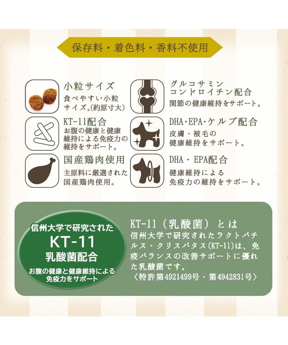 PET PARADISE ≪配合リニューアル≫ ペットパラダイス  国産 ドッグフード ビオキッチン 3kg 