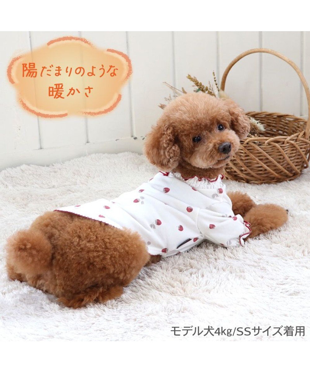 PET PARADISE ペットパラダイス ペティヒート Tシャツ 《苺柄》 小型犬 超小型犬 