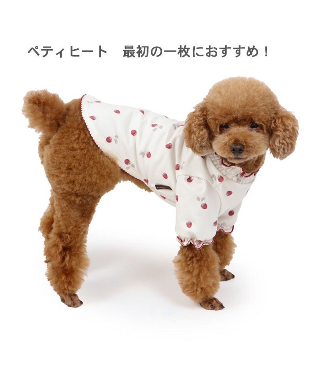 PET PARADISE ペットパラダイス ペティヒート Tシャツ 《苺柄》 小型犬 超小型犬 