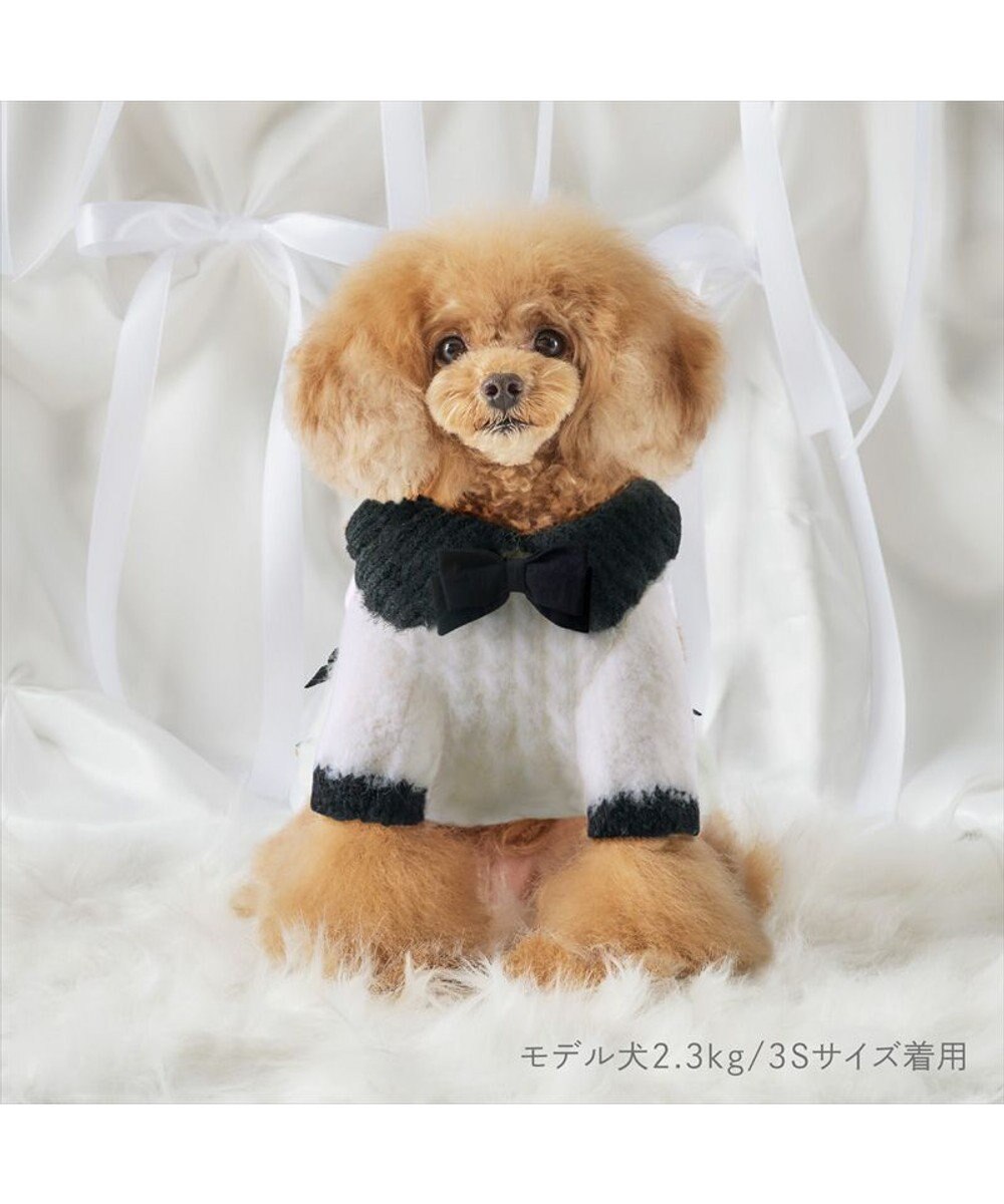 PET PARADISE cherircouture リボンニット 小型犬 