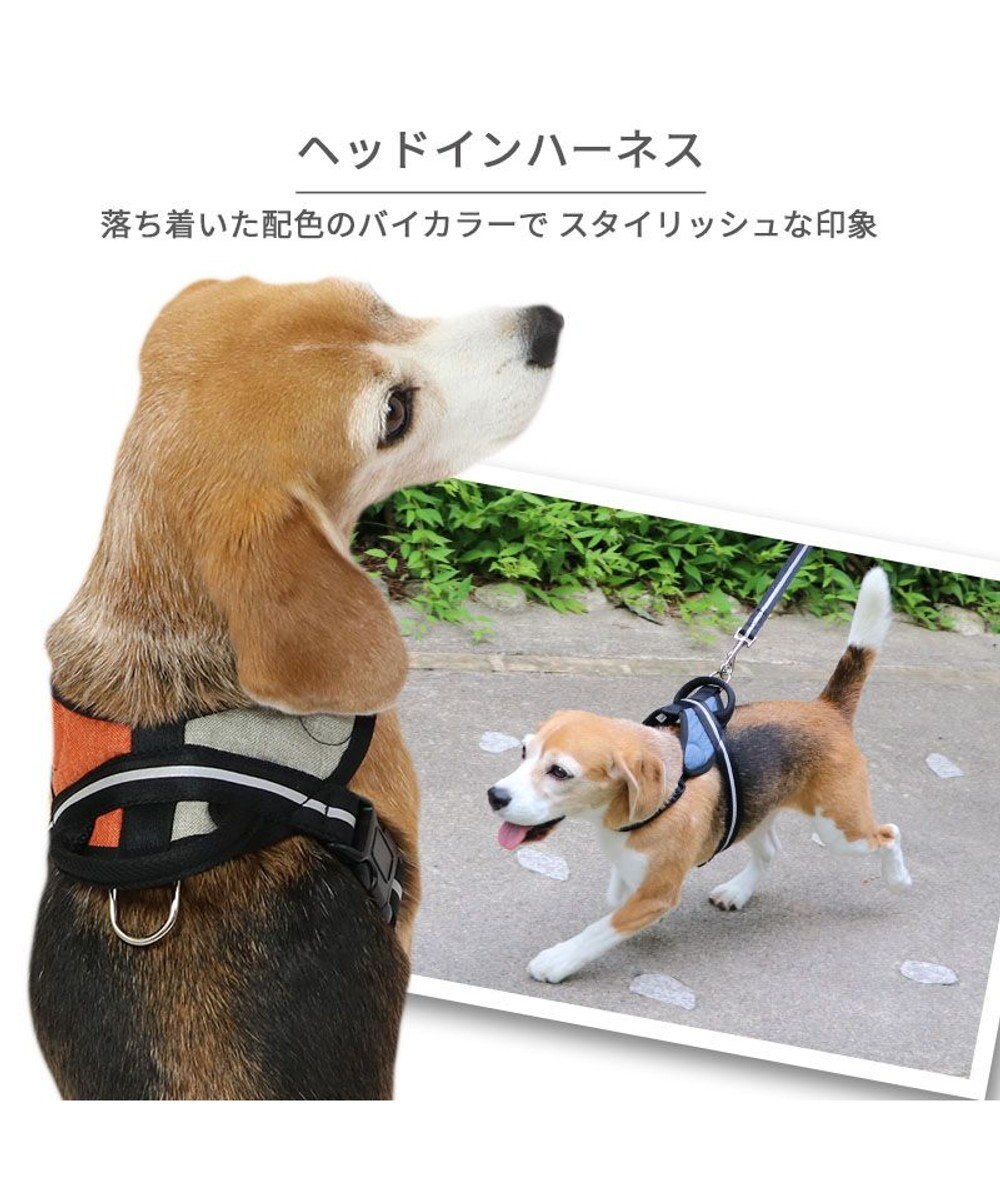 PET PARADISE ヘッドインハーネス  【SM】 オレンジ / ブルー 【中型犬】