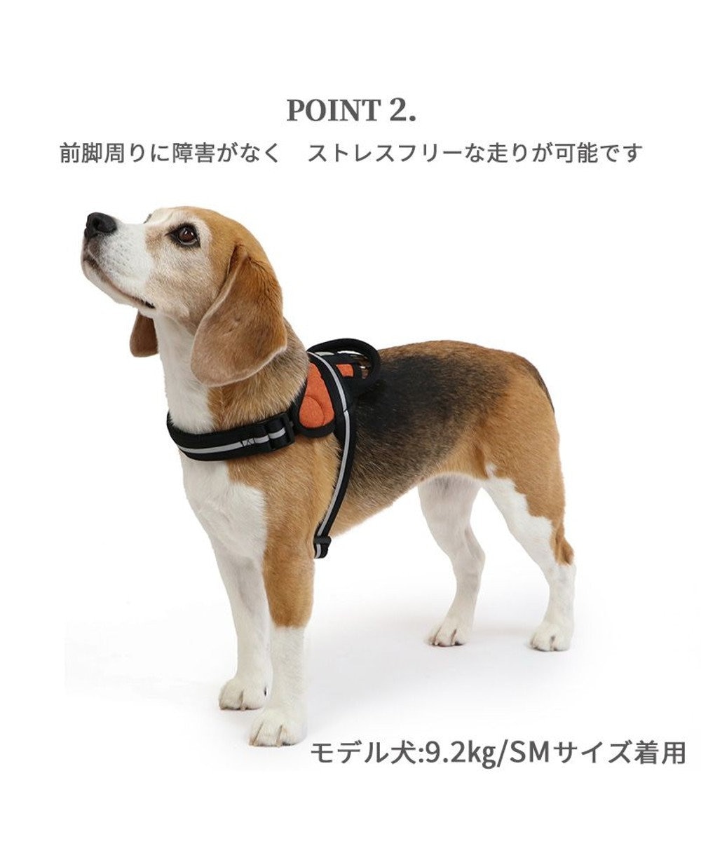PET PARADISE ヘッドインハーネス  【SM】 オレンジ / ブルー 【中型犬】