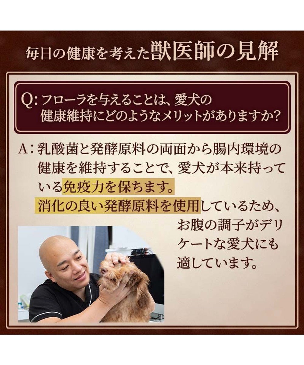 PET PARADISE  ペットパラダイス ドッグフード フローラ3kg 国産 