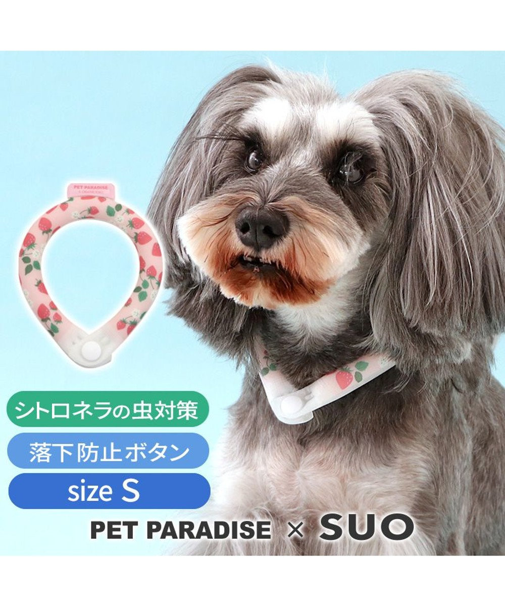 PET PARADISE ペットパラダイス 28℃クールリング SUO 《いちご柄》 〔Ｓ〕 小型犬 いちご