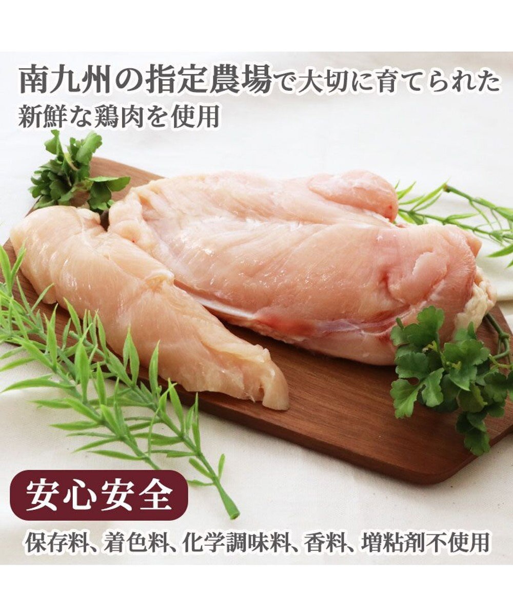 PET PARADISE リアルフードスティック フローラケア 10g×8本 国産 