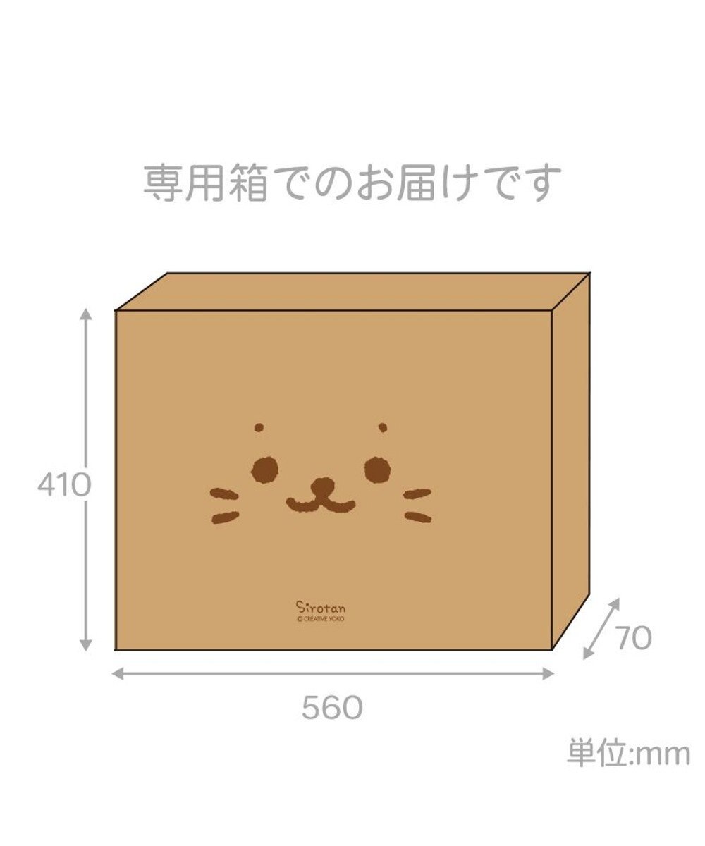 Mother garden しろたん アートボード 《ペイントアート》520×370mm SIROTAN PAINT GRAFFITI サイン＆シリアルナンバー入り 