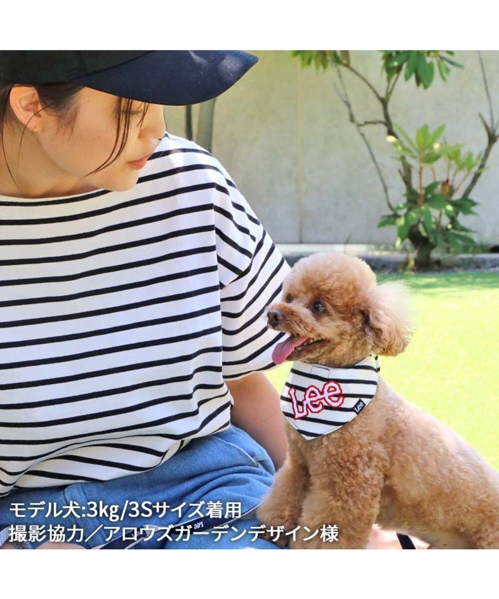 PET PARADISE Ｌｅｅ 冷感バンダナ 《ボーダー》 小型犬 