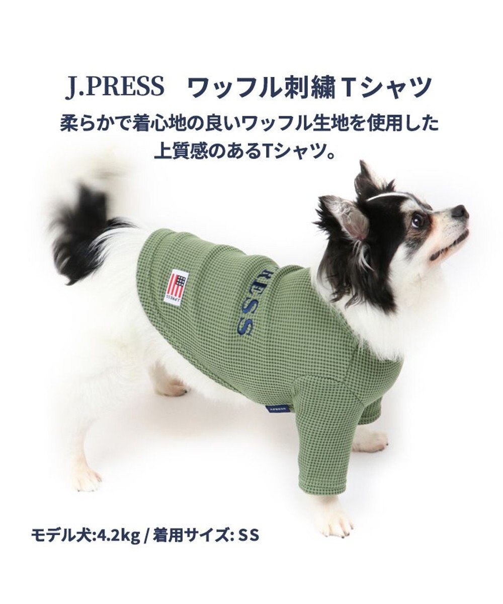 犬 服 J Press Tシャツ 小型犬 ワッフル 刺繍 犬服 犬の服 犬 服 ペットウエア ペットウェア ドッグウエア ドッグウェア ベビー 超小型犬 小型犬 Pet Paradise 通販 雑貨とペット用品の通販サイト マザーガーデン ペットパラダイス 犬 服 J Press Tシャツ 小型犬 ワッフル 刺繍 犬服 犬の服 犬 服 ペットウエア ペットウェア ドッグウエア ドッグウェア ベビー 超小型犬 小型犬 Pet Paradise 通販 雑貨とペット用品の通販サイト マザーガーデン ペットパラダイス