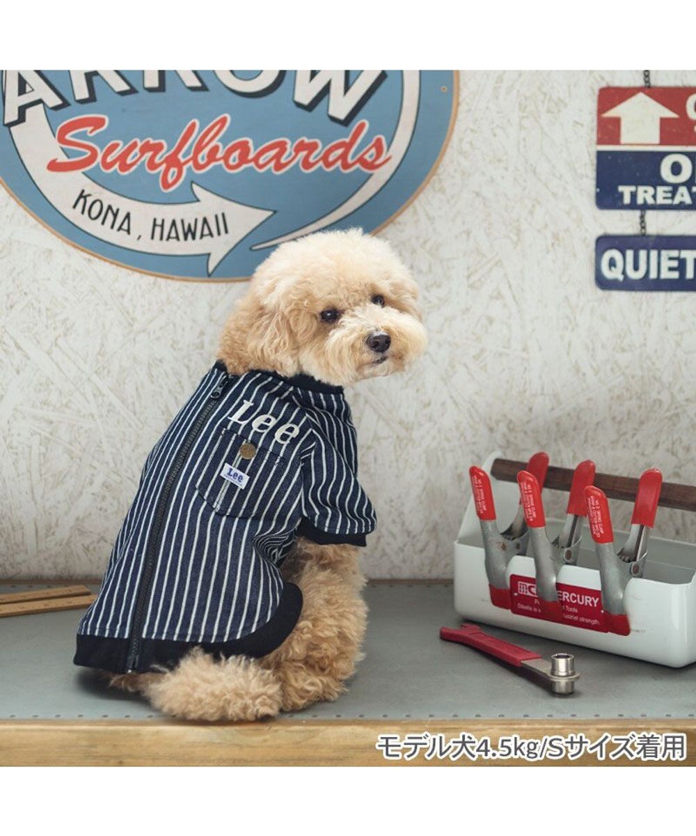 PET PARADISE Lee ブルゾン ストライプ 小型犬 