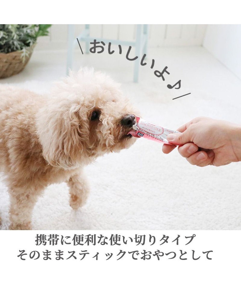 PET PARADISE リアルフードスティック フローラケア 10g×8本 国産 