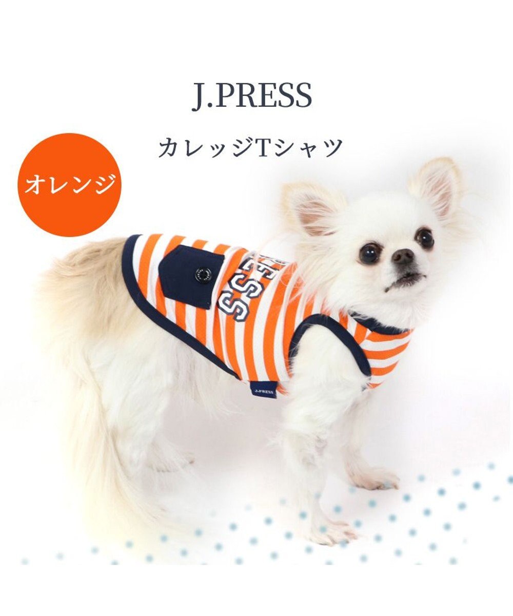 PET PARADISE 犬の服 春夏 ひんやり クール メッシュ 接触冷感 虫除け  J.PRESS カレッジ  Tシャツ 【小型犬】ネイビー オレンジ クールマックスエコメイド 