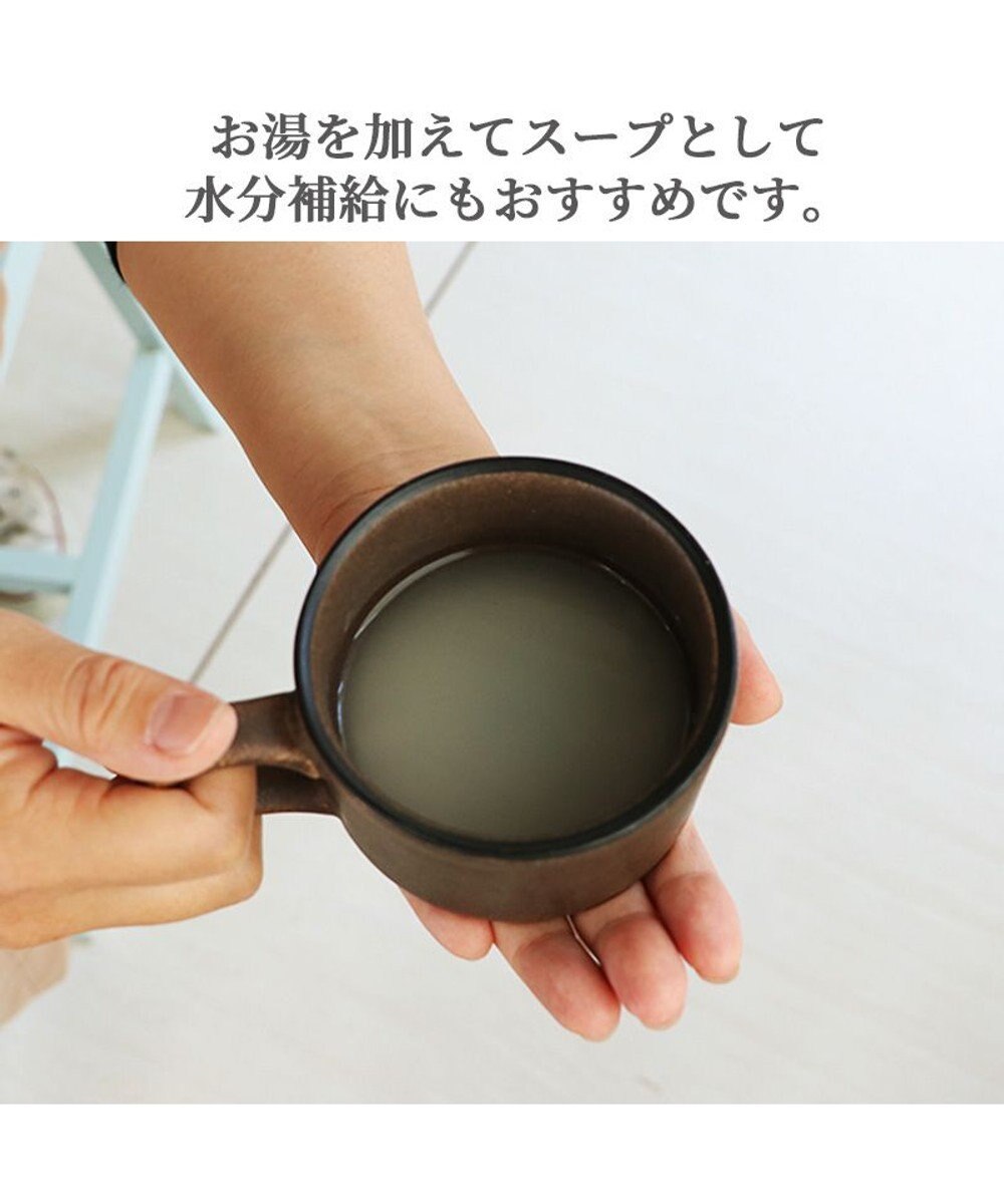 PET PARADISE リアルフードスティック フローラケア 10g×8本 国産