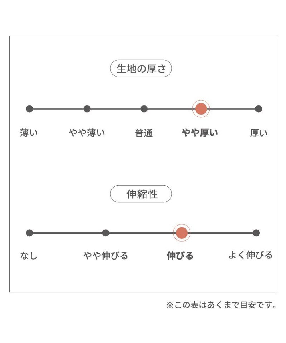 PET PARADISE スヌーピー ペティヒートDAN ハイネックTシャツ 小型犬