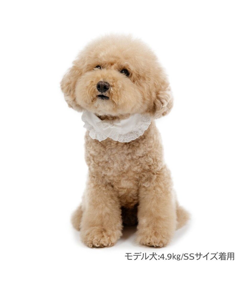 PET PARADISE ペットパラダイス コットンレース首輪  SS 