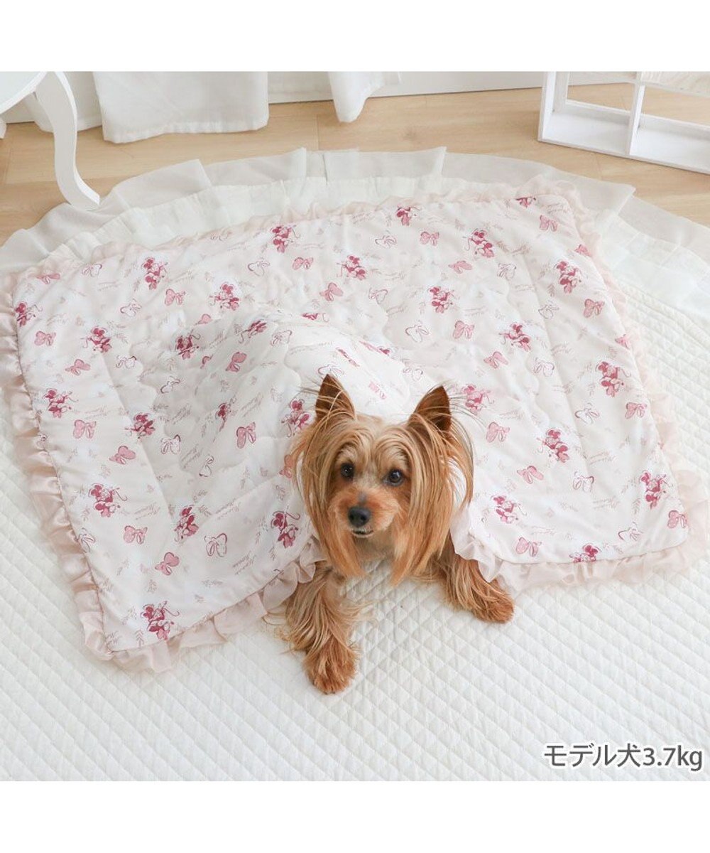 PET PARADISE ディズニー ミニーマウス もちっと クール ブランケット 《ハート柄》 
